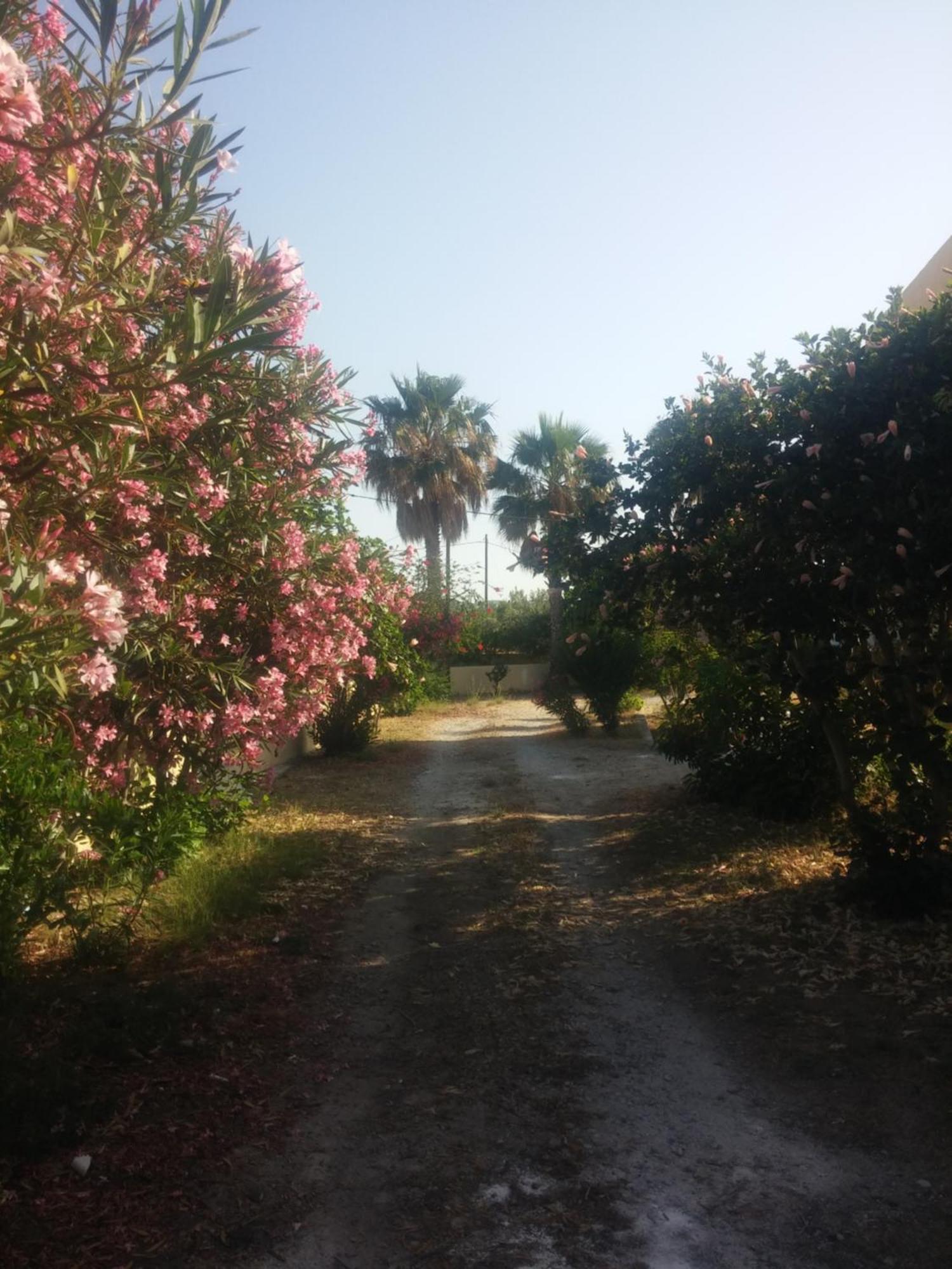 Ζini 2 Villa Kéfalos Exterior foto